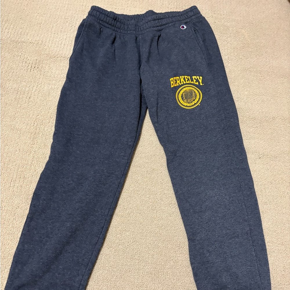 Champion Dark Gray Berkeley Sweatpants